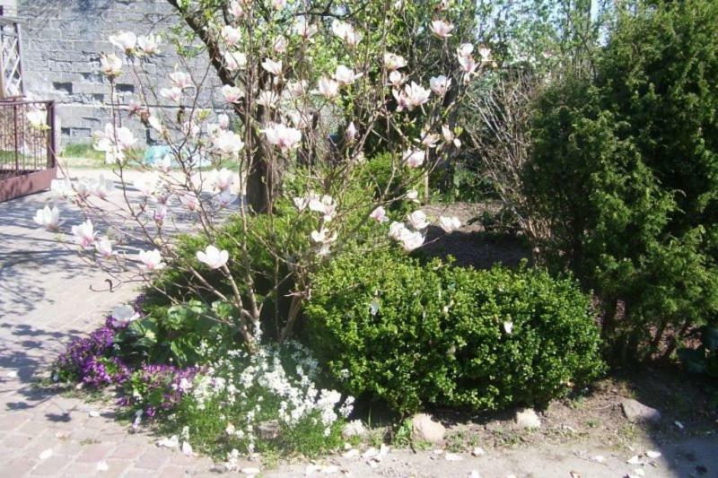Pokoje Gościnne Pod Magnolią Wiele Zewnętrze zdjęcie